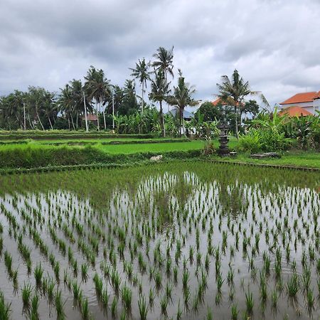 Villa Lanus Ubud Exterior foto