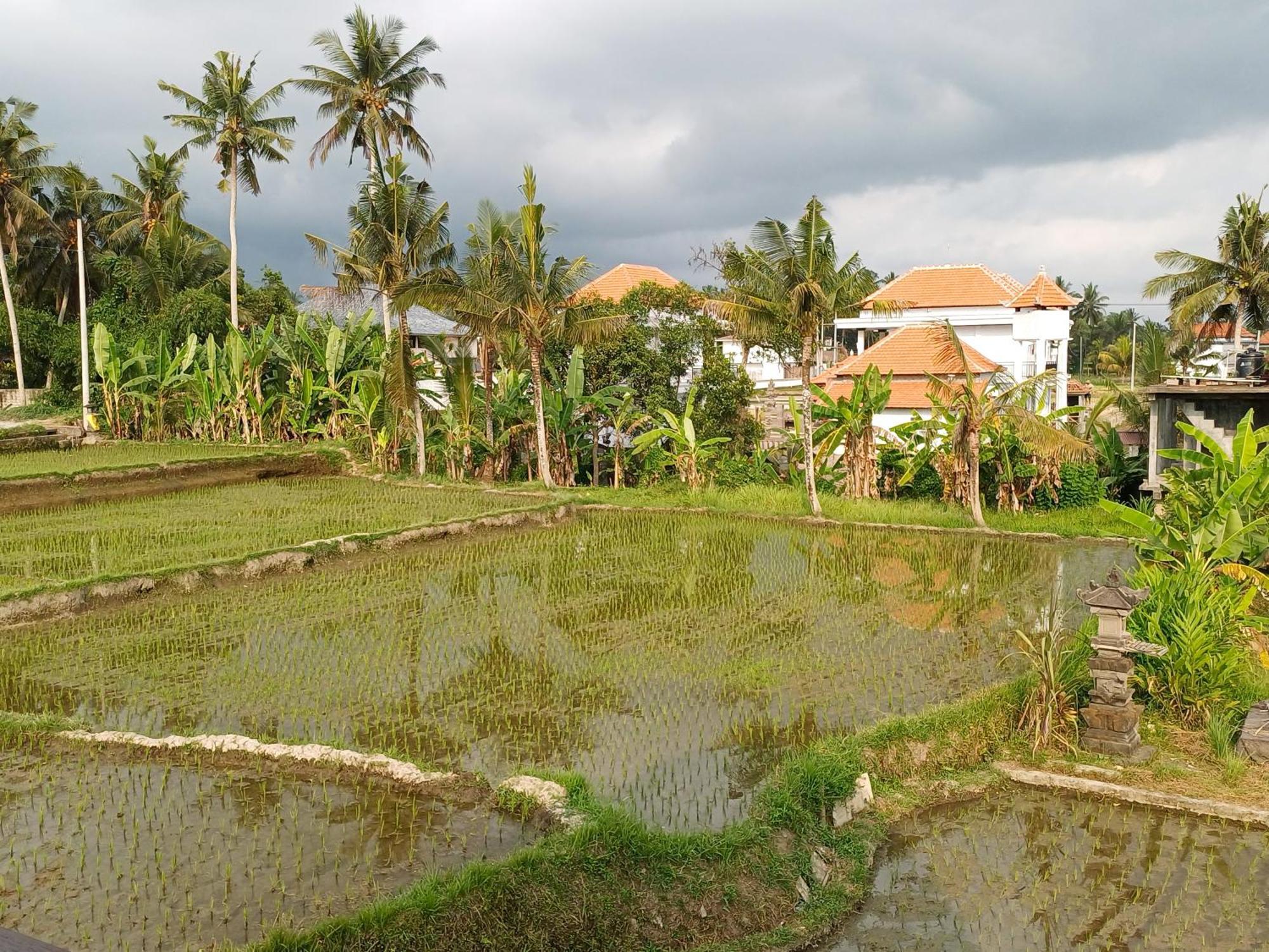 Villa Lanus Ubud Exterior foto