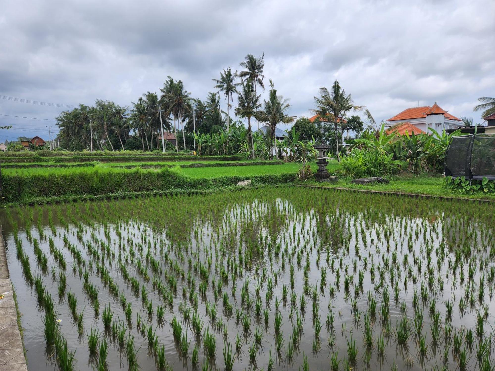 Villa Lanus Ubud Exterior foto